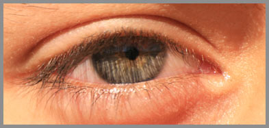 sehtest-auge
